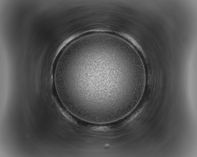 X0000086760837200704201743