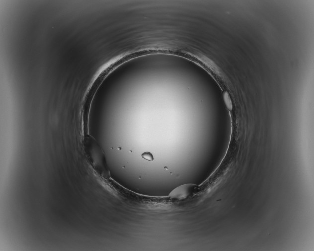 X0000086760838200704201743