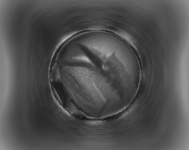 X0000086760839200704201743