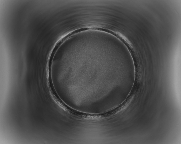 X0000086760840200704201743