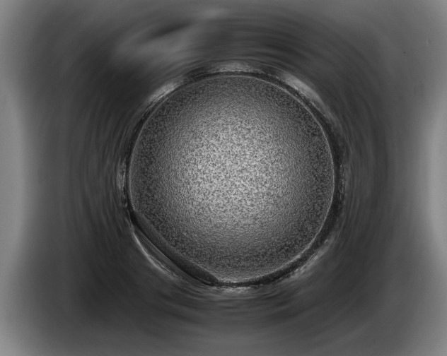 X0000086760841200704201743