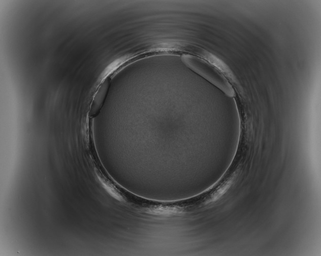 X0000086760842200704201743