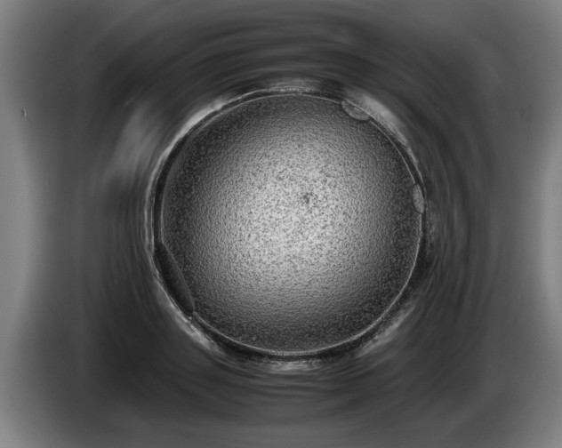 X0000086760843200704201743