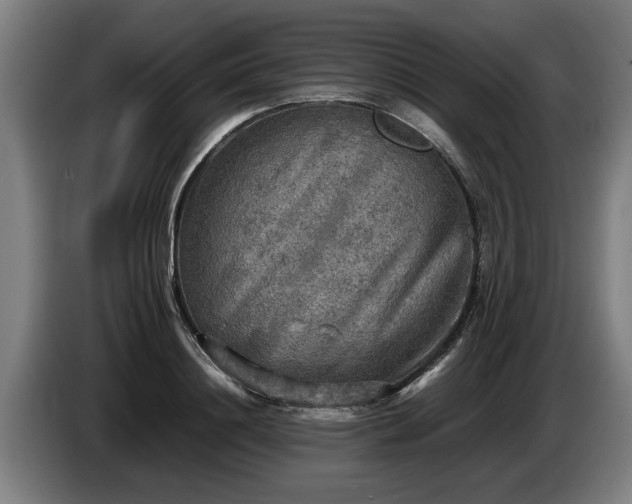 X0000086760844200704201743