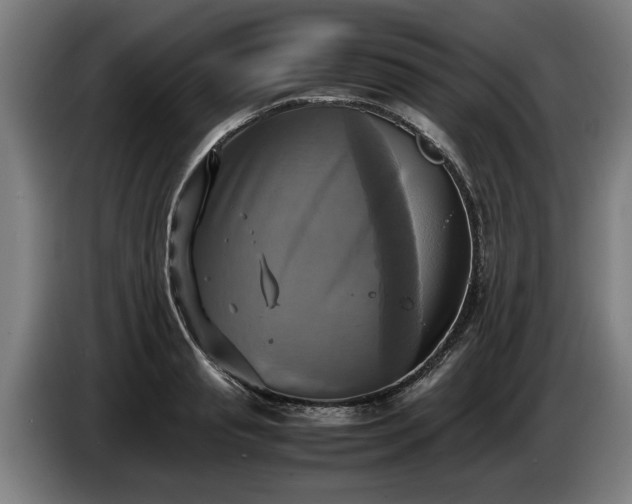 X0000086760845200704201743