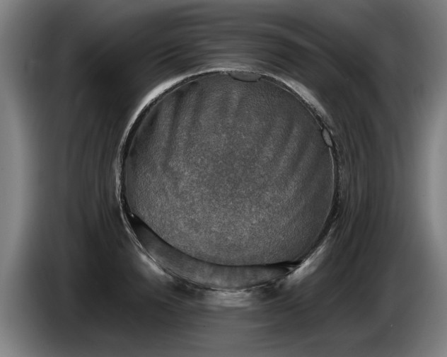 X0000086760846200704201743