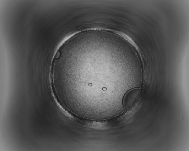 X0000086760847200704201743