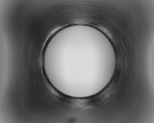 X0000086760848200704201743