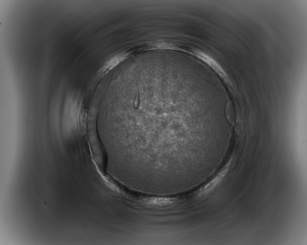 X0000086760849200704201743