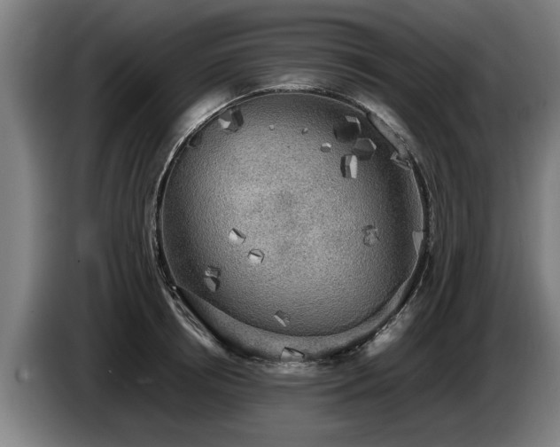 X0000086760850200704201743