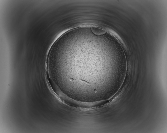 X0000086760852200704201744