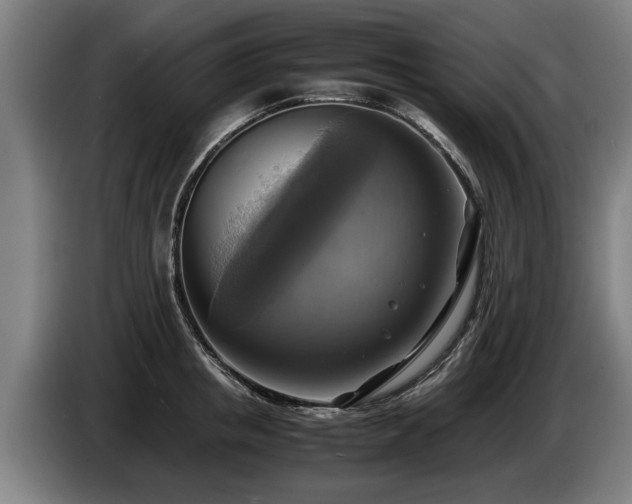 X0000086760853200704201744