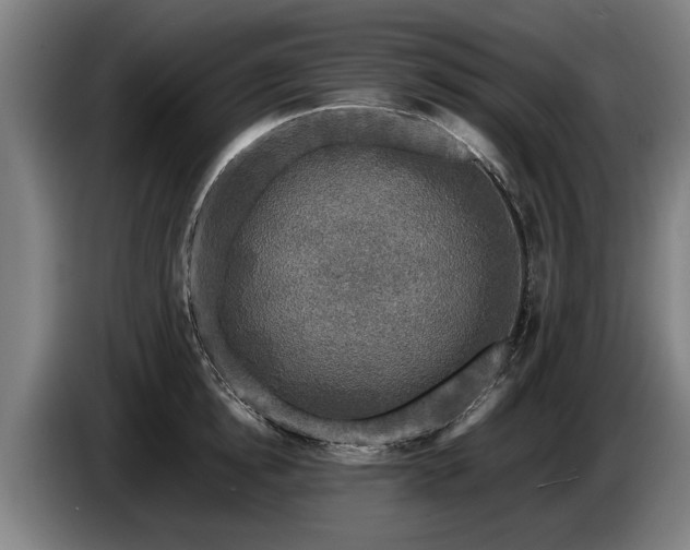 X0000086760854200704201744