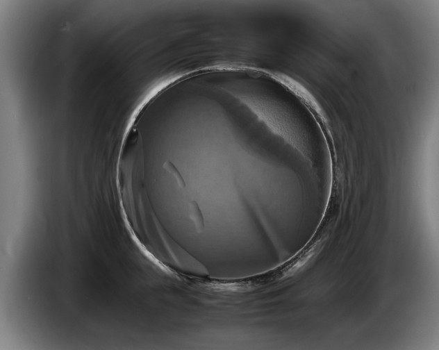 X0000086760855200704201744