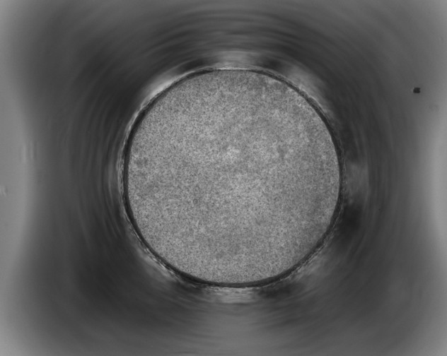 X0000086760856200704201744
