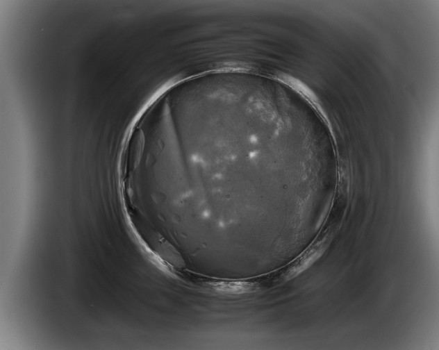X0000086760859200704201744