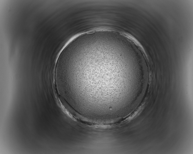 X0000086760860200704201744