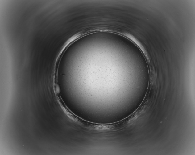X0000086760861200704201744