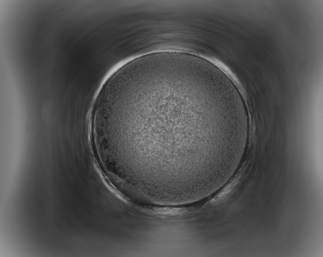 X0000086760862200704201744