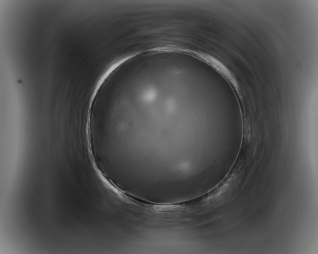 X0000086760863200704201744