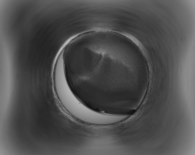 X0000086760864200704201744