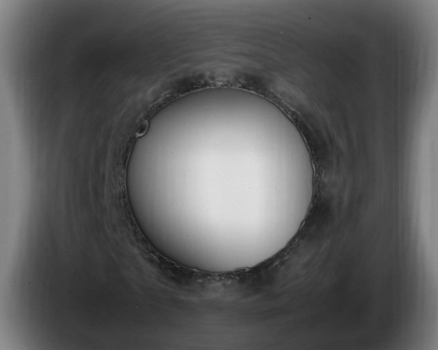 X0000086760865200704201743