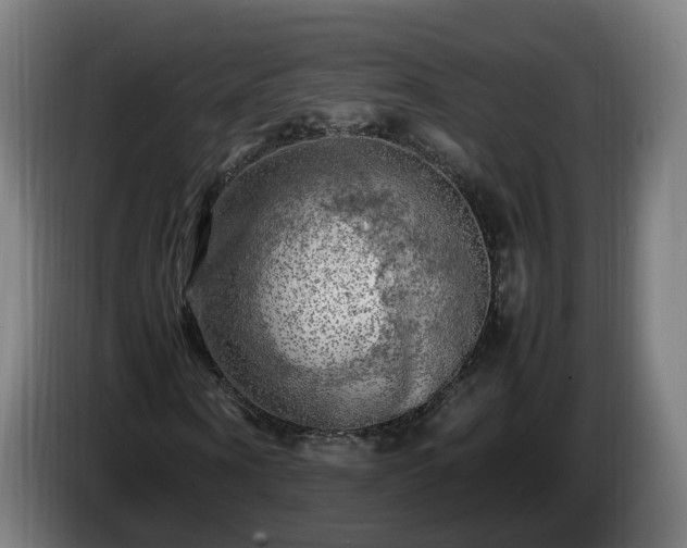 X0000086760866200704201743