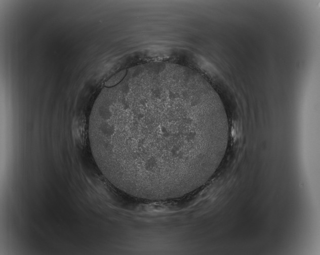 X0000086760867200704201743
