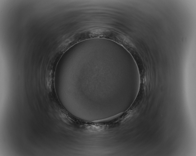 X0000086760868200704201743