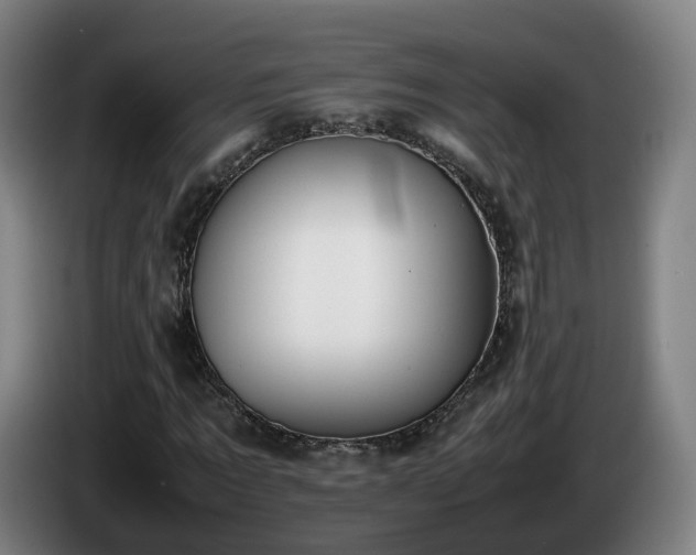 X0000086760869200704201743