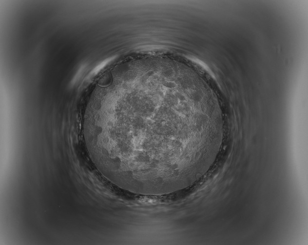 X0000086760871200704201743