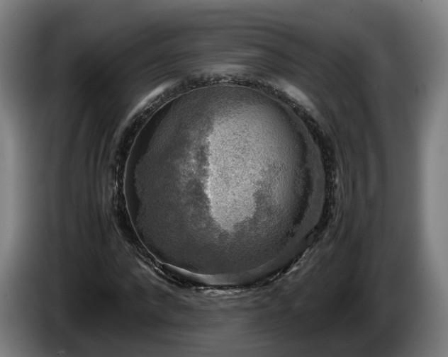 X0000086760872200704201743