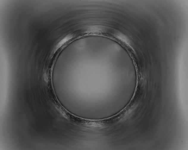 X0000086760874200704201743