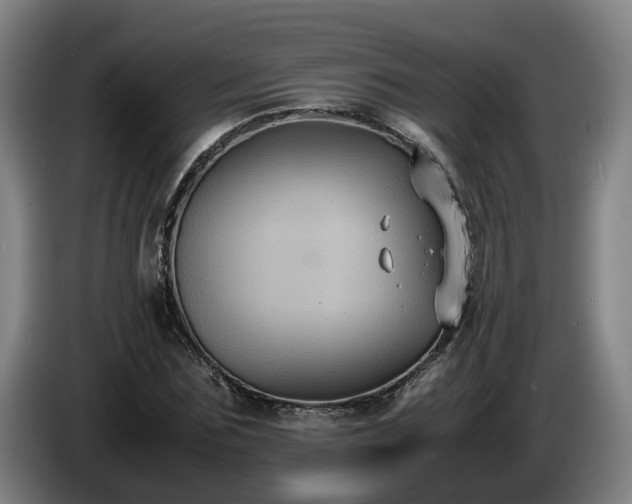 X0000086760875200704201743