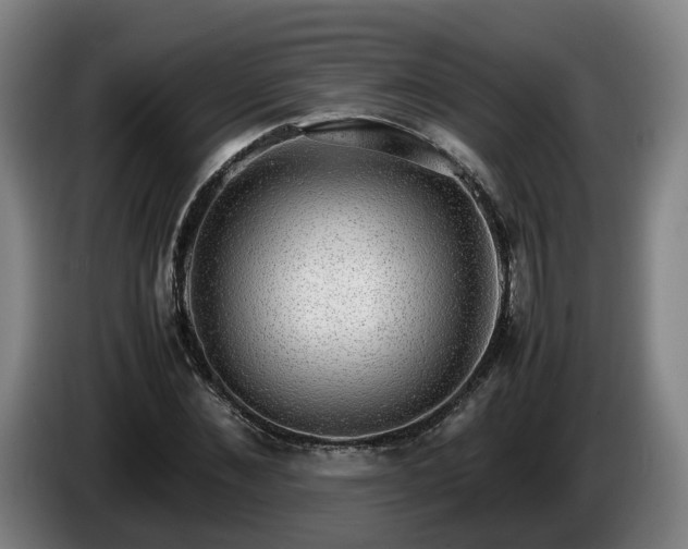 X0000086760876200704201743