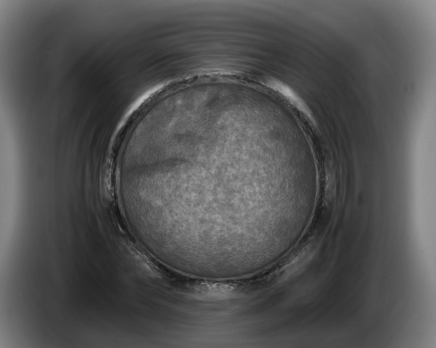 X0000086760878200704201743