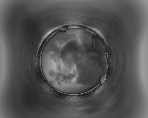 X0000086760879200704201743