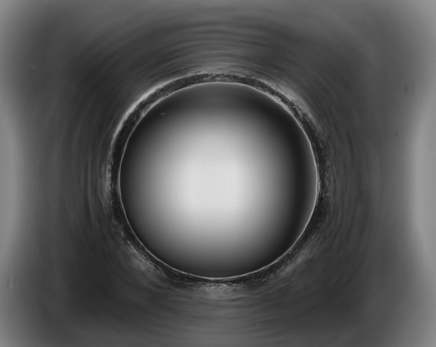 X0000086760880200704201743