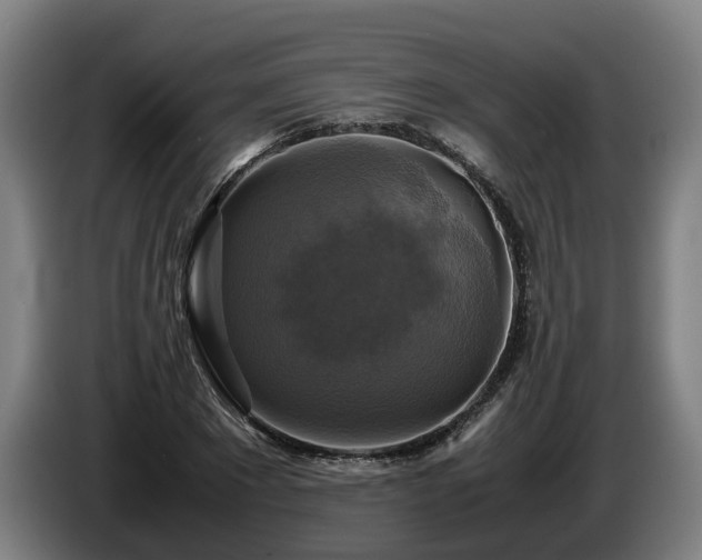 X0000086760881200704201743