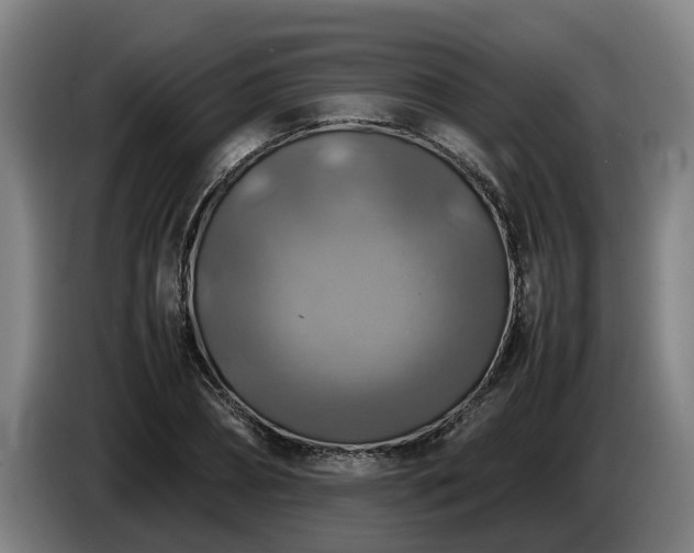 X0000086760882200704201743