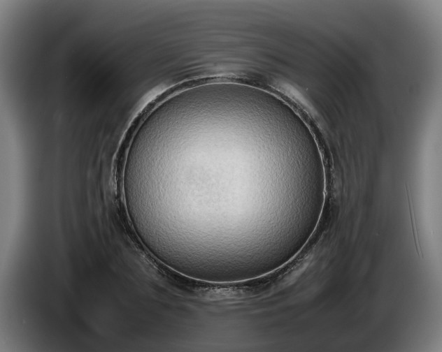 X0000086760883200704201743