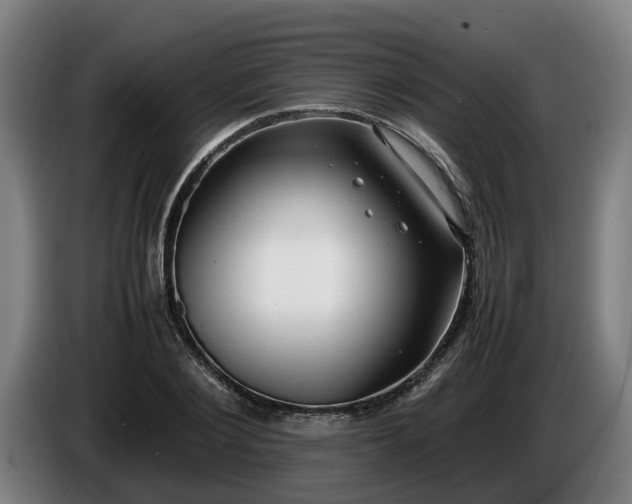 X0000086760884200704201743