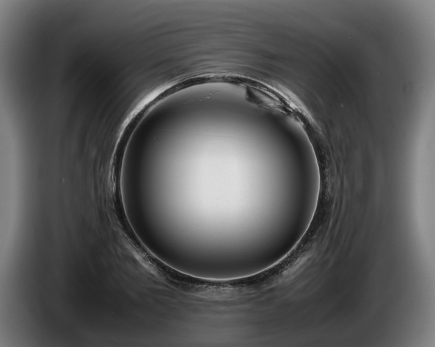 X0000086760885200704201743