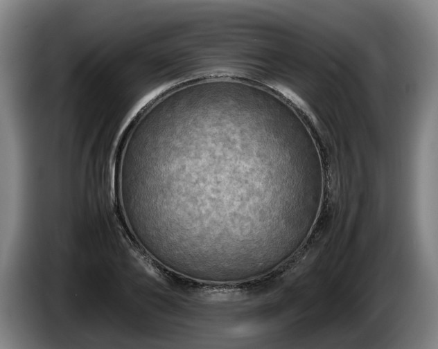 X0000086760886200704201743