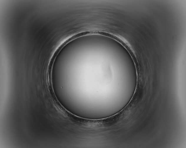 X0000086760887200704201743