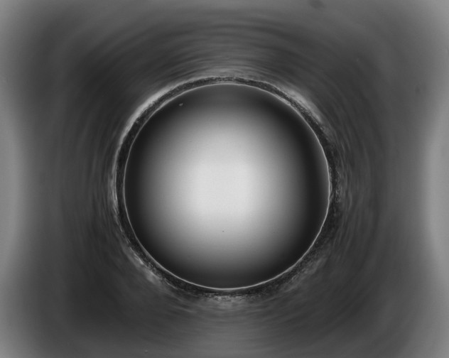 X0000086760888200704201743