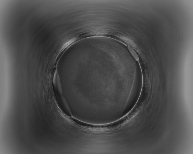 X0000086760889200704201743