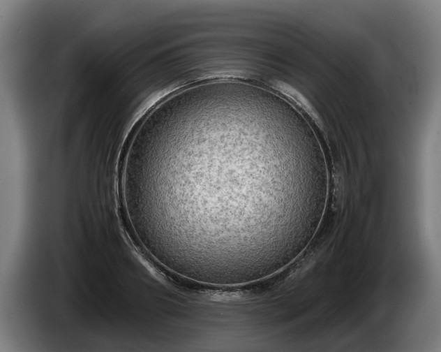 X0000086760890200704201743