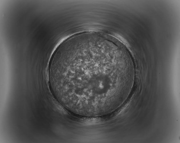 X0000086760891200704201743