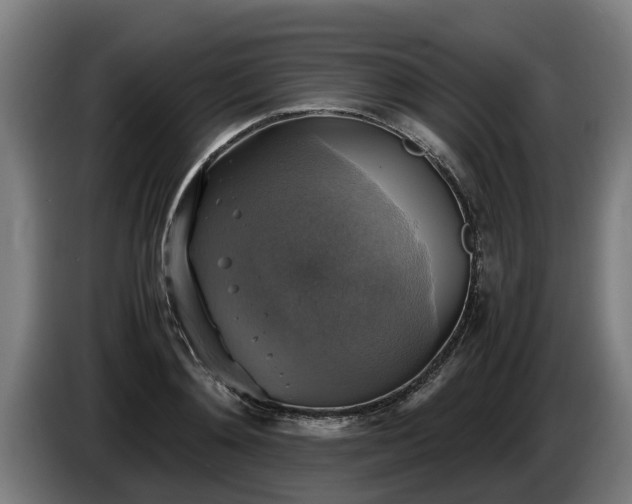 X0000086760892200704201743